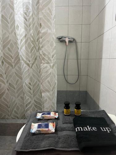 a bathroom with a shower and a bath tub at OdeSea Aegean Studios in Plomari