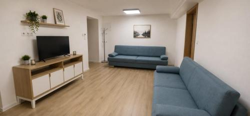 a living room with a blue couch and a television at Dominikówka in Dominikowo