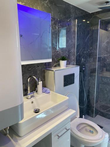 a bathroom with a toilet and a sink and a shower at Apartman Velickovic in Paralia Katerinis