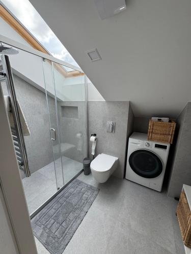 a bathroom with a shower and a toilet and a sink at V7 Apartamentai Nidoje in Nida