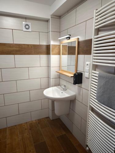 a bathroom with a sink and a mirror at Riegrova Chata Kozákov in Semily