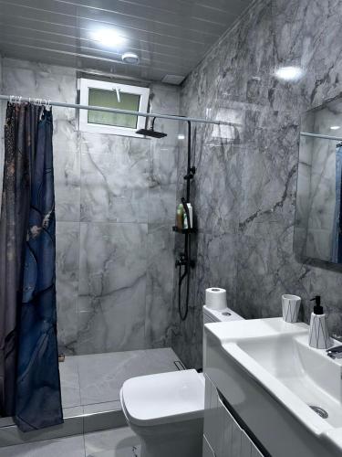 a bathroom with a shower and a toilet and a sink at Jermuk Cozy Apartment in Jermuk