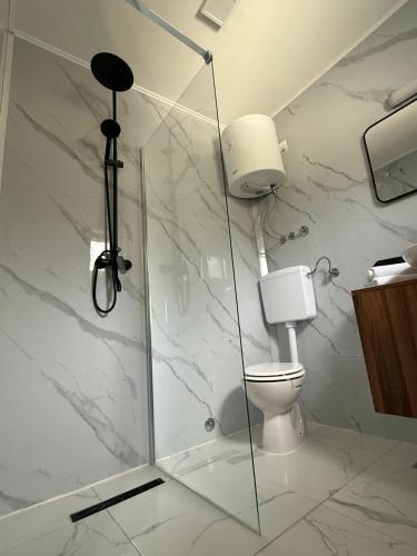 a bathroom with a toilet and a glass shower stall at Kuća za odmor Nera in Hadžići