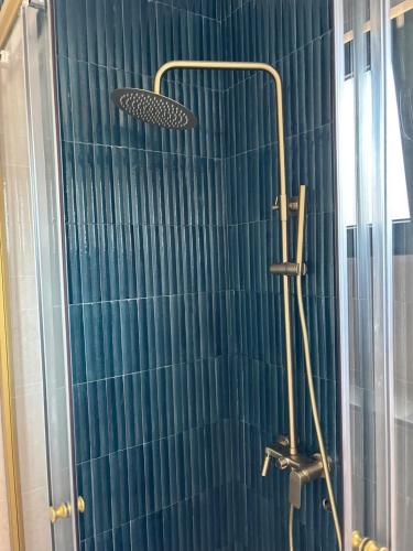 a shower with a shower head in a bathroom at Stan 11 in Đenovići