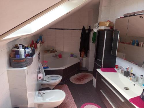 a bathroom with a sink and a toilet and a tub at Huis bij basel in Hésingue