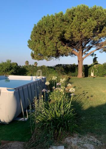 a boat sitting in a yard next to a tree at Richiami di Sicilia in Modica