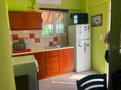 a kitchen with green walls and a white refrigerator at Olive Tree Villa in Preveza
