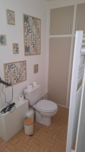 a bathroom with a white toilet in a room at Libre comme l'air - Appartement - Terrasse - 1 Chambre in Ruffec