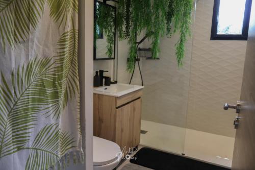 a bathroom with a sink and a toilet and a shower at Chalet tous confort avec piscine lagon in Vallon-Pont-dʼArc
