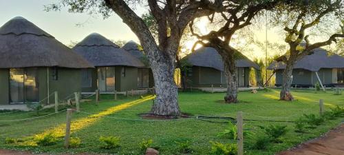 a row of cottages with thatched roofs at Tsetsebjwe Lodge in Baines Drift