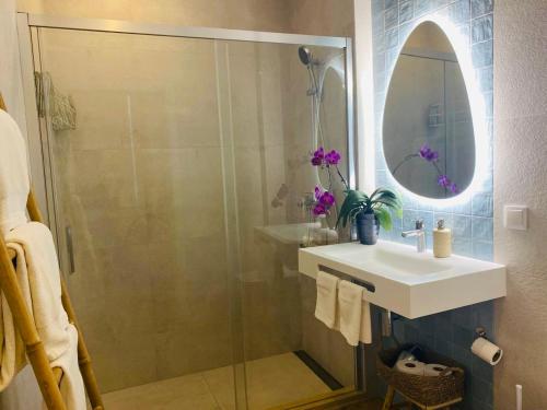 a bathroom with a shower and a sink and a mirror at Santa Cruz - B&B in Lagos