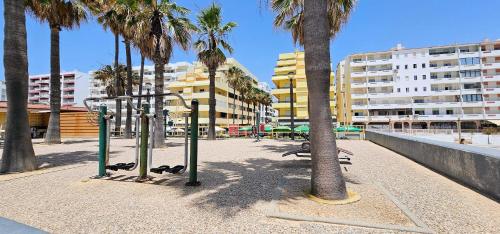 Girassol a 20 metros da Praia de Quarteira