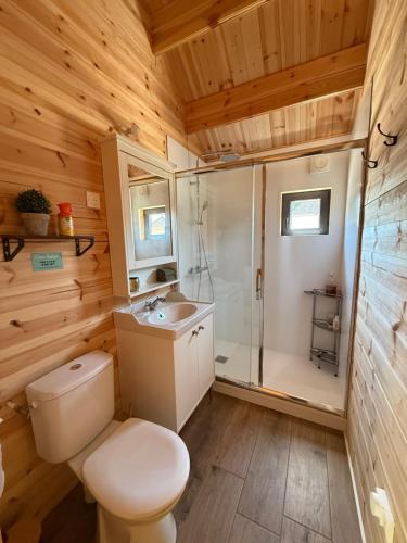 a bathroom with a toilet and a shower and a sink at Chalet en bois indépendant, terrasse et accès piscine in Montret