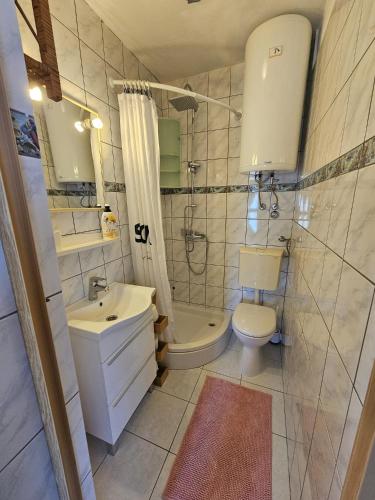 a bathroom with a sink and a toilet and a shower at Apartman sunny green in Sveti Juraj