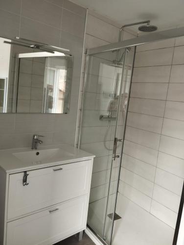 a bathroom with a shower and a sink at Repos au vert en Ariège in Le Peyrat