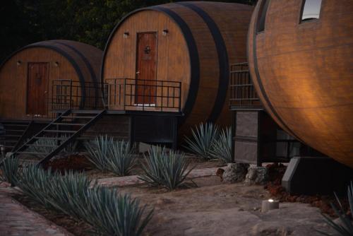 un groupe de trois barils de vin assis à côté de certaines plantes dans l'établissement Matices Hotel de Barricas, à Tequila
