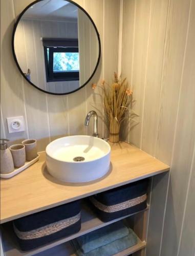 a bathroom with a sink and a mirror at Tiny House avec jacuzzi privé - calme et nature in Grabels