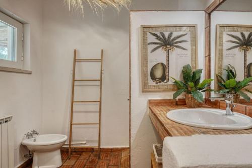 a bathroom with a sink and a toilet at Casa das Cegonhas in Vale de guiso