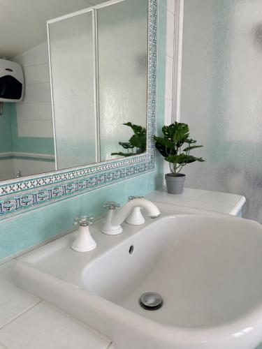 a bathroom sink with a mirror and a potted plant at Laguna Blu Case Vacanza in Carbonia