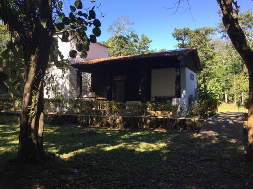 a house in the middle of a yard with a tree at Ecolodge Las Nubes Chiapas in La Fortuna Gallo Giro