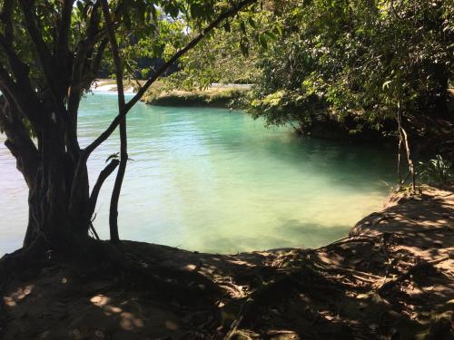 a body of water with a tree in the foreground at Ecolodge Las Nubes Chiapas in La Fortuna Gallo Giro