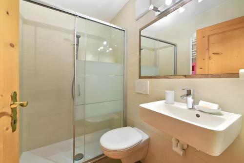 a bathroom with a toilet and a sink and a shower at Birkenhof in Sluderno
