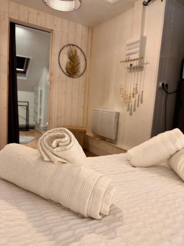 a bedroom with a bed with a towel on it at Le Studio du Square : Châteaux-Beauval-Arrivée auto-Netflix in Romorantin