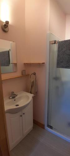 a bathroom with a sink and a shower at La Reine in St-Etienne de Bolton