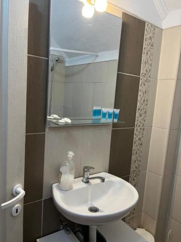 a bathroom with a sink and a mirror at Vikend house Cvrcak in Slankamenački Vinogradi