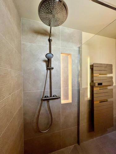 a shower with a shower head in a bathroom at Le Piano dans la Vigne in Barr