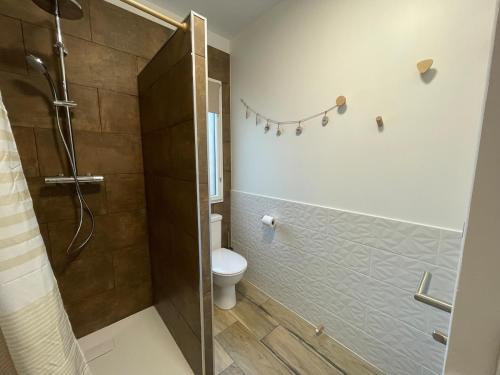 a bathroom with a shower stall and a toilet at L échappée bêle in Le Val-Saint-Père