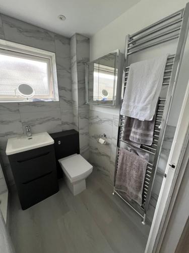 a bathroom with a toilet and a sink and a shower at Beach House Manningtree in Manningtree