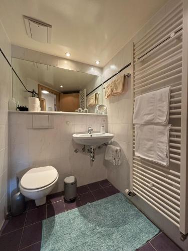 a bathroom with a toilet and a sink at Bergbauernhof Haug in Bad Hindelang