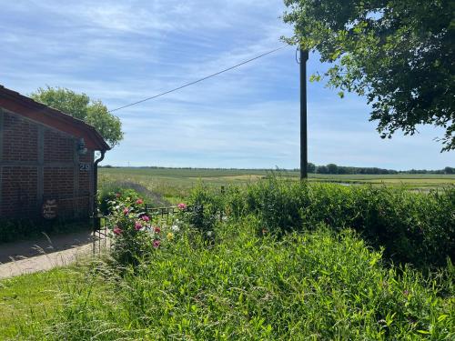 a view of a field from the side of a house at Landhaus Maltzien - Auszeit auf dem Land in Maltzien