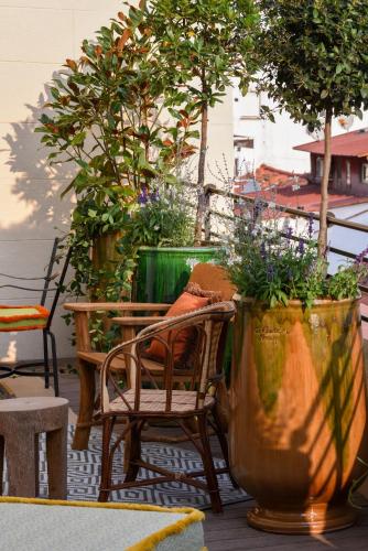 Brach Madrid - Evok Collection photo 60