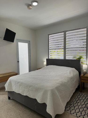 a bedroom with a large bed and two windows at Villa del Carmen Boqueron in Cabo Rojo