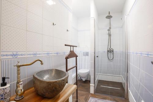 a bathroom with a sink and a shower at Zámeček Rozkoš in Střížovice