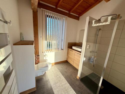 a bathroom with a shower and a toilet and a sink at Gîte de groupe et charmant cottage L'Agnel in Domaize