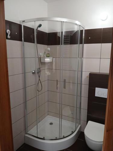 a glass shower in a bathroom with a toilet at Apartament 112 Mielno in Mielno