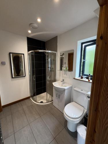 a bathroom with a shower and a toilet and a sink at Achnacolain Lodge in Tarbert
