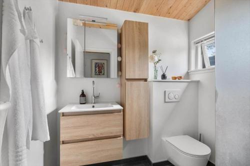 a small bathroom with a sink and a toilet at 1693-Kikhavn-Kragevejen-3 in Kikhavn