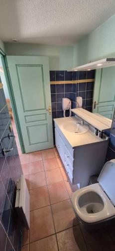 a bathroom with a toilet and a sink at maison de vacances in Tourrettes