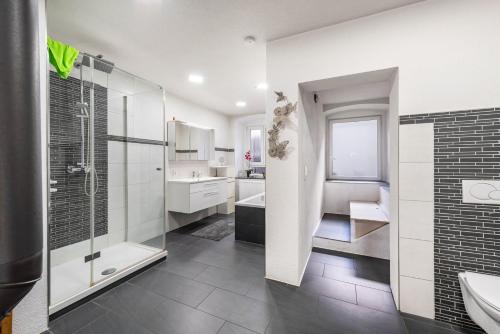 a bathroom with a shower and a sink at Apartment In A Historic Villa in Stockach