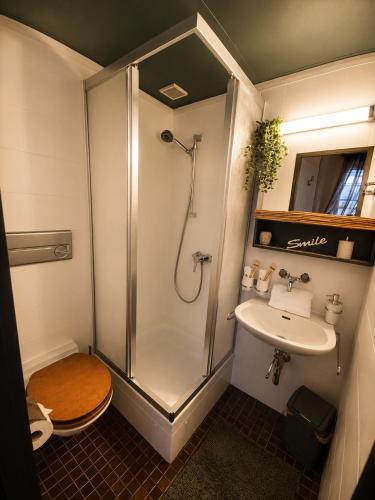 a bathroom with a shower and a toilet and a sink at Hôtel de la Couronne in Les Bois