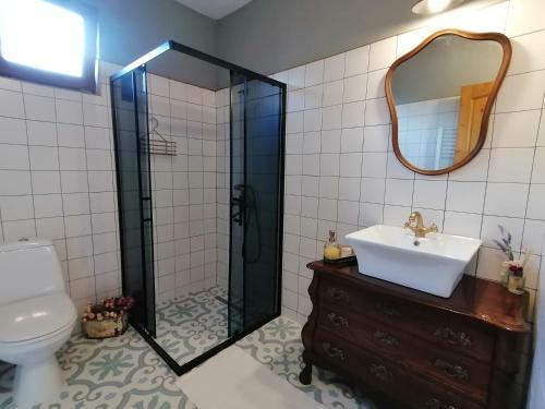 a bathroom with a shower and a sink and a toilet at къща Утринна Роса in Blŭskovtsi