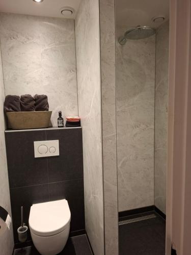 a bathroom with a toilet and a shower at Weerribben Wieden gastenverblijf in Wanneperveen