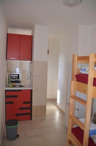 Η κουζίνα ή μικρή κουζίνα στο Apartment Zapovedni Rai