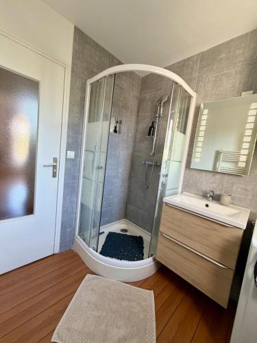 a bathroom with a shower and a sink at Le Cocon de Clisson in Clisson
