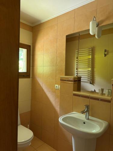 a bathroom with a sink and a toilet and a mirror at Park hotel SVYAT in Skole