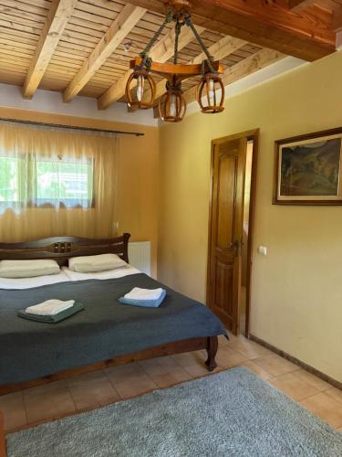 a bedroom with a large bed and a chandelier at Park hotel SVYAT in Skole